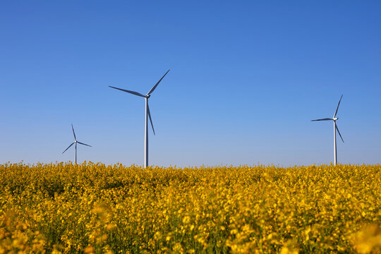 Wind turbines at sunset in green field &ndash; renewable energy, clean power, sustainable future.