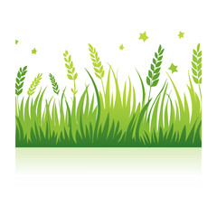 Obraz premium Green grass and wheat illustration with stars