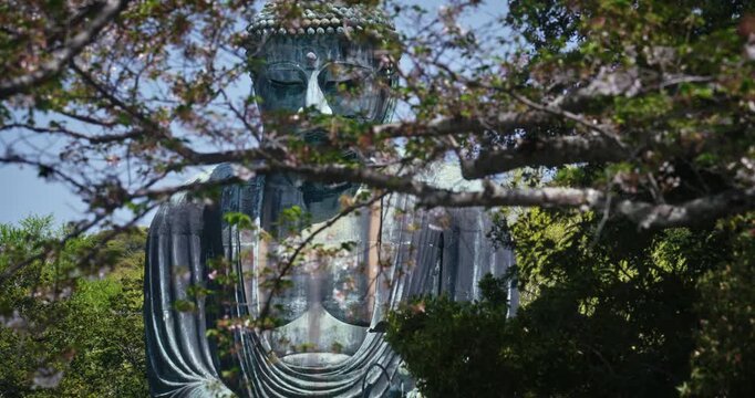 Massive, ancient buddha statue behind tree branch in Japan