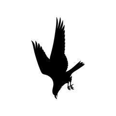 Fototapeta premium Black bird silhouette, flying eagle, bird of prey, wildlife icon