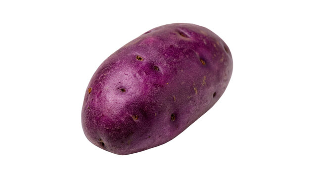 Single organic raw purple sweet potato or yam isolated on transparent background