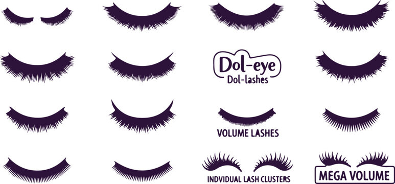 Diverse false eyelashes for professional makeup artists and beauty product advertising.
