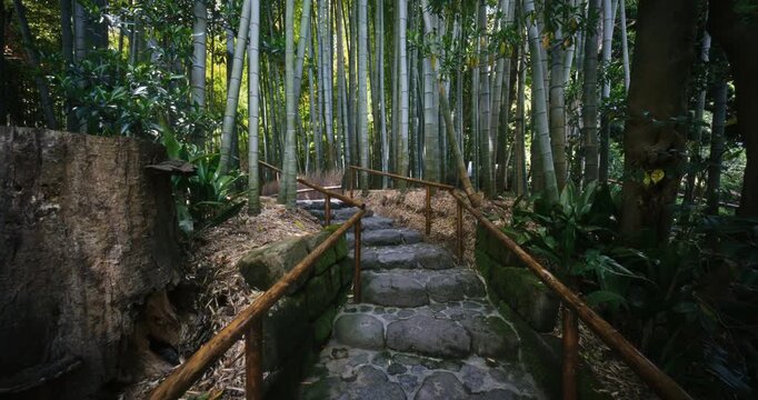 Stone steps in Japanese bamboo grove - steady cam slow motion shot