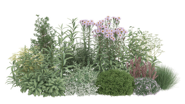 Assortment of garden plants with purple flowers and green shrubs isolated on white background for landscape design architecture rendering