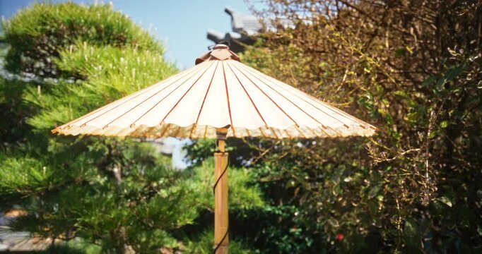 Japanese bamboo umbrella open over pink flowers - steady cam slow motion shot