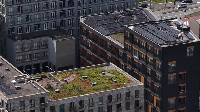 Sustainable urban living with green roofs and solar panels