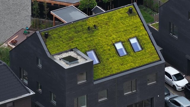 Aerial view of modern home with green sedum roof
