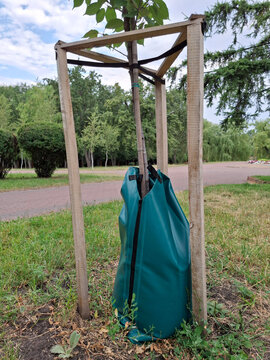 Tree trunk protectors. Green leather protectors a trunk on young trees
