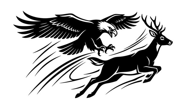 Eagle Attack and Escaping Doe Black and White Wildlife Vector Illustration