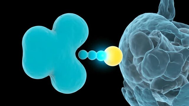 3D Medical Animation: tRNA Delivers Amino Acid for Protein Synthesis to Ribosome