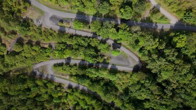 Winding Forest Road Top Down Aerial Through Green Woodland
