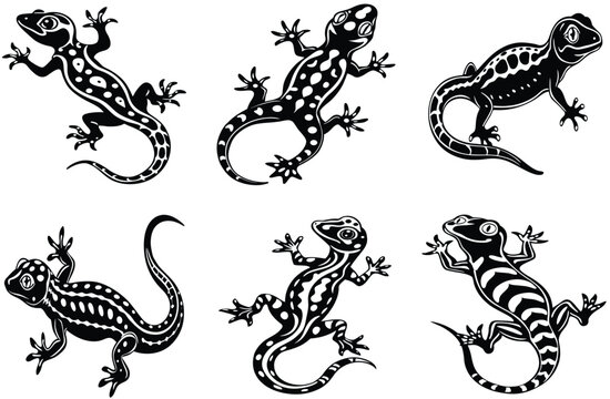 lizard silhouettes