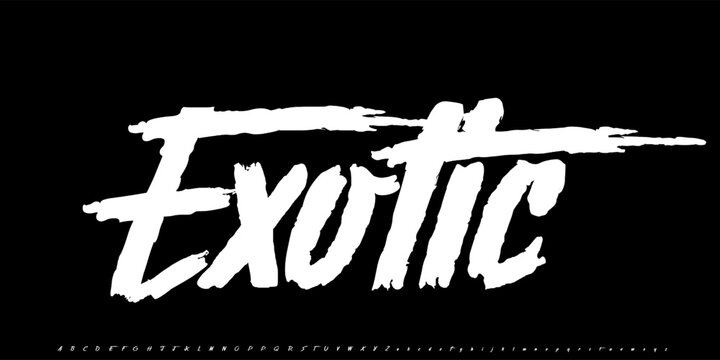 Exotic Alphabet Modern Brush Font for Dynamic Creative Branding and Design