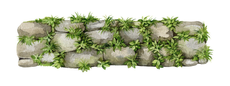 Overgrown stone wall isolated on background. Watercolor hand painted png landscape element with wild plants for game assets, fantasy environments, map design and nature themed projects.