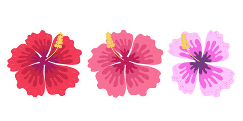 Tropical hibiscus flower set with red pink and purple hand drawn blossoms on a white background for summer beach party decorations fashion prints and exotic greeting cards © Jennie
