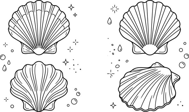Sea shell seashell vector bundle featuring minimalist black line art outline scallop clams marine ocean decoration designs isolated