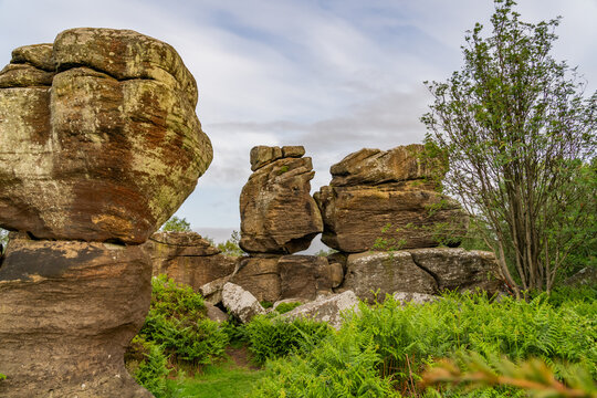 Views of Brimham Rocks at sunrise in Yorkshire England