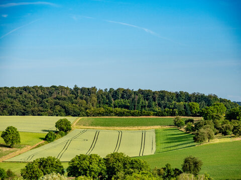 Landschaft mit Obstb&auml;umen im Fr&uuml;hjahr