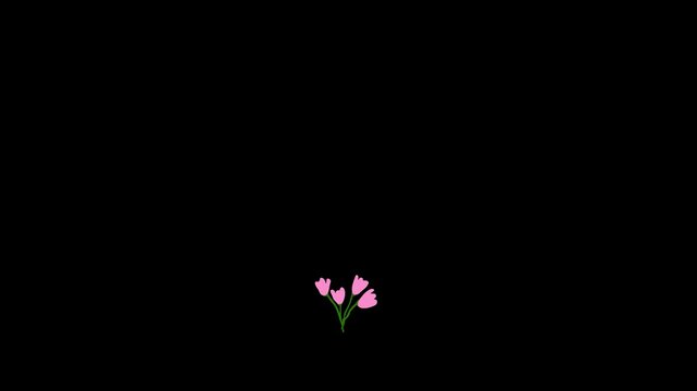 Pink forget me not flower stalk growing and blooming animation on black