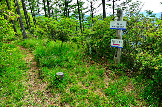 御坂山地の中藤山山頂　三等三角点（大石峠）
