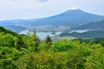 Fototapeta premium 春の御坂山地 新緑の新道峠より富士山と河口湖の眺め 