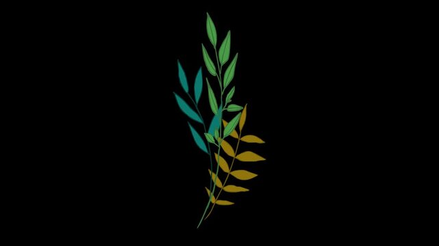 Abstract three color leaves branch growing animation on black background