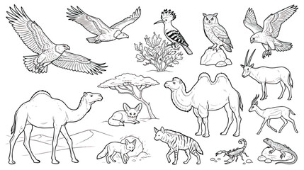 Desert animals coloring book vector set, wild safari wildlife line art collection, black and white desert fauna illustrations for kids education © Ch