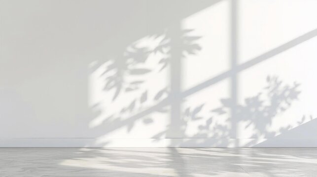 White Studio Room Wall with Leaf Shadow Natural Light Product Display Background