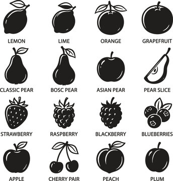 Educational fruit set with labels showing lemon lime orange grapefruit classic bosc asian pear slice strawberry raspberry blackberry blueberries apple cherry peach plum.