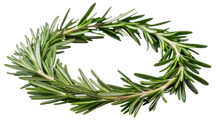 Fototapeta premium Rosemary herb sprig arranged in a circle