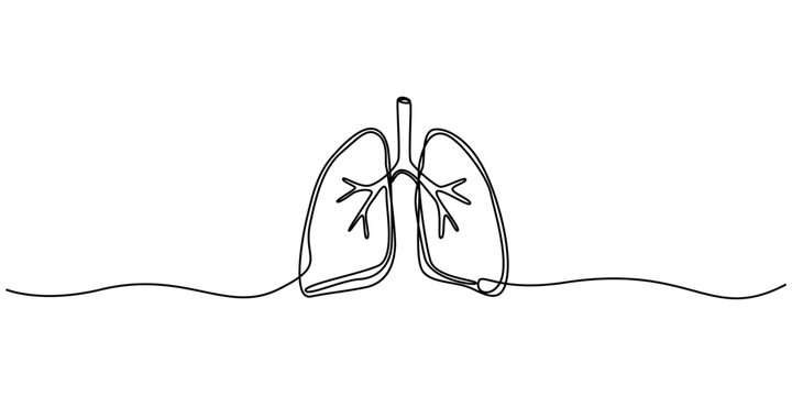 lungs continuous one line drawing, Continuous single line drawing of human lungs with editable stroke. Minimal one line art style vector, Human lungs organ one continuous line art, Vector illustration