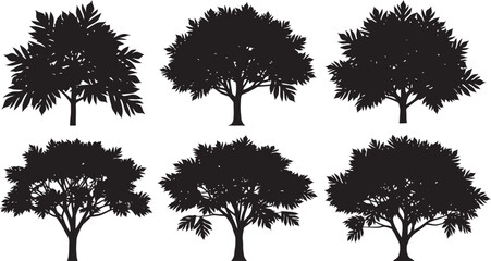 Obraz premium Vector illustration of a black silhouette set containing a collection of forest trees, pine, palm, oak, and leaf branches isolated on a white background for nature design elements