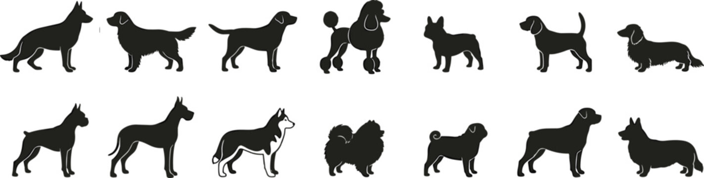 Purebred Dog Breeds Black Silhouette Vector Icon Set with German Shepherd Labrador Retriever Poodle French Bulldog and Husky For Pet Care Branding
