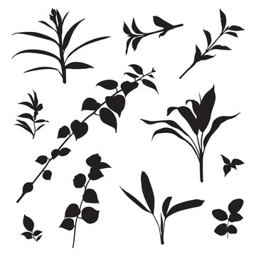Seamless pattern design with black olives and green branch vector illustration featuring elegant floral nature elements