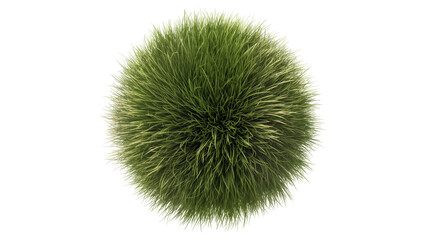 Obraz premium Round green grass ball with sharp blades