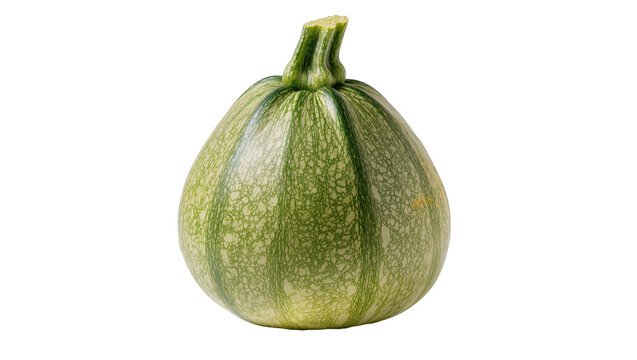 Round green striped zucchini squash with stem