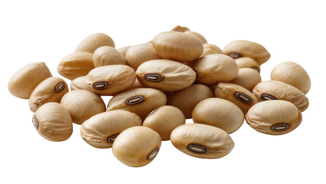Pile of dry soybeans with visible hilum detail