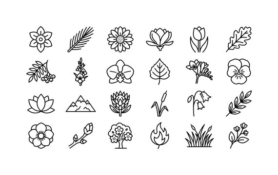 Floral Mountain Set. Line icon set of nature flowers and leaves: daffodil, acicular leaf, flower head, magnolia, tulip, oak leaf, rowan branch, gladiola, orchid, poplar leaf, freesia, pansy, lotus