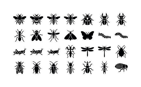 Meadow Insect Glyphs. Solid glyph icon set of common insects: bee, bumblebee, wasp, hornet, lady beetle, stag beetle, ant, housefly, mosquito, moth, butterfly, caterpillar, grasshopper, cricket,