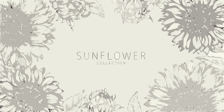Sunflower illustration with gray tones on a light beige background