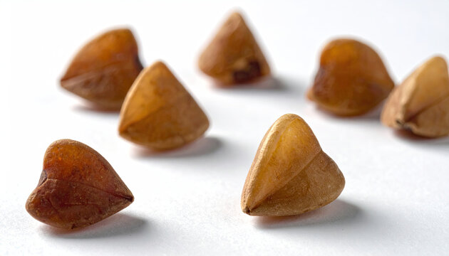 Closeup of roasted pine nuts on white background