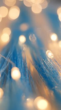 A Beautiful Display of Twinkling Lights: The Mesmerizing Interplay of Blue and Warm Glow Creates an Enchanting Ambiance in This Captivating Scene