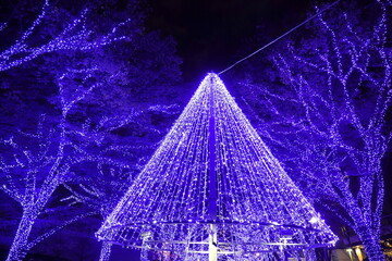 夜の公園で輝く紫色のLEDライトで飾られた円錐形のイルミネーションツリーと木々。冬のイベントやクリスマスの雰囲気。