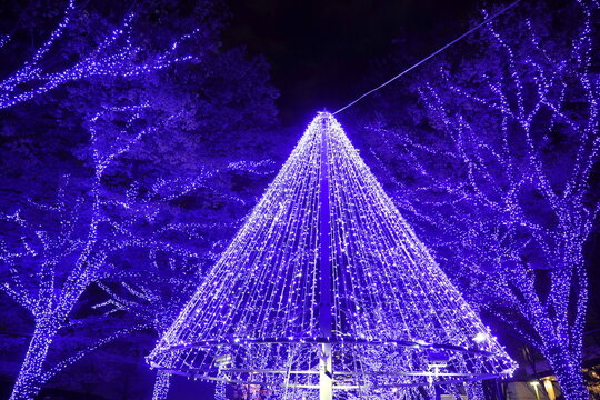夜の公園で輝く紫色のLEDライトで飾られた円錐形のイルミネーションツリーと木々。冬のイベントやクリスマスの雰囲気。