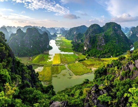Stunning vista showcases a river winding through lush green rice fields, flanked by dramatic, verdant limestone karsts