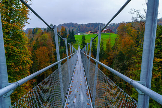 Grub rope bridge, northeast Switzerland