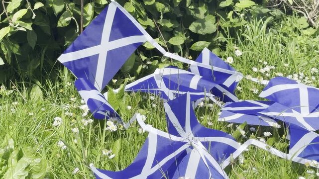 Scottish Bunting and World Flags Display in the Breeze