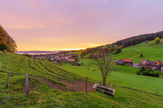 Sunrise of countryside and Lake Constance, northeast Switzerland