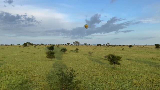 Hot air balloon drifting over the expansive grasslands of Serengeti National Park, Tanzania.