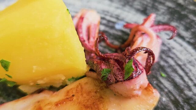Extreme close up of grilled squid with tender tentacles, golden boiled potato, herbs, and char marks on a dark plate, gourmet calamari seafood dish at an outdoor restaurant.